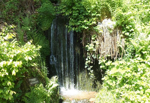 Bild: ©Wikipedia