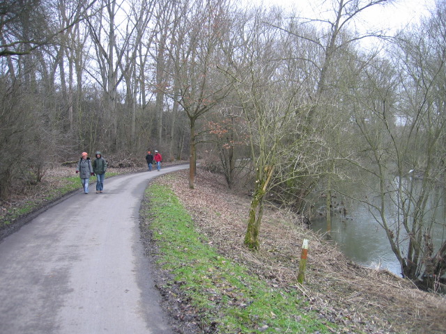 Vilbeler_Stadtwald-2.jpg